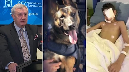 WA CCC boss John McKechnie claims the broader policy that allows police to unleash dogs on children is racist. 