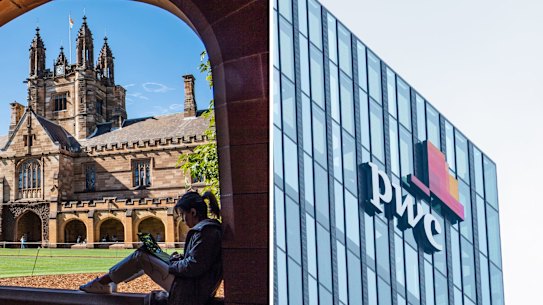 The nation’s 10 top-ranked universities alone spent at least $249 million on consultancies last year, more than they spent before the pandemic.