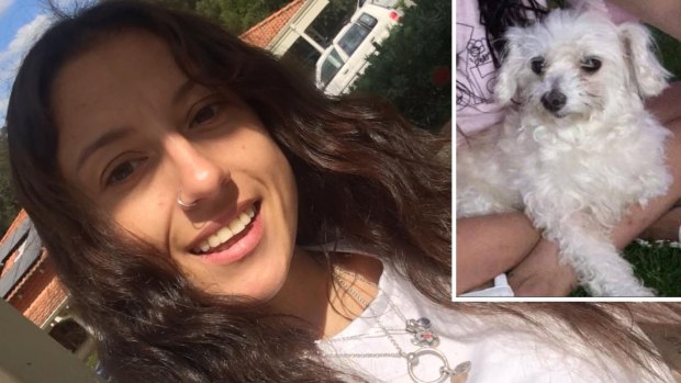 ‘Egregious, callous, cruel’: Perth woman accused of throwing dog from two-storey car park