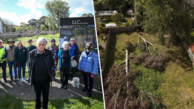 Why trees in this east Melbourne suburb are disappearing at night