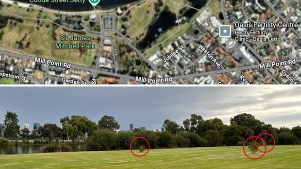 Above: Jubilee Street, Lake Douglas and the riverfront. Below: view of the trees from the footpath in front of Jubilee Street, looking towards the lake.