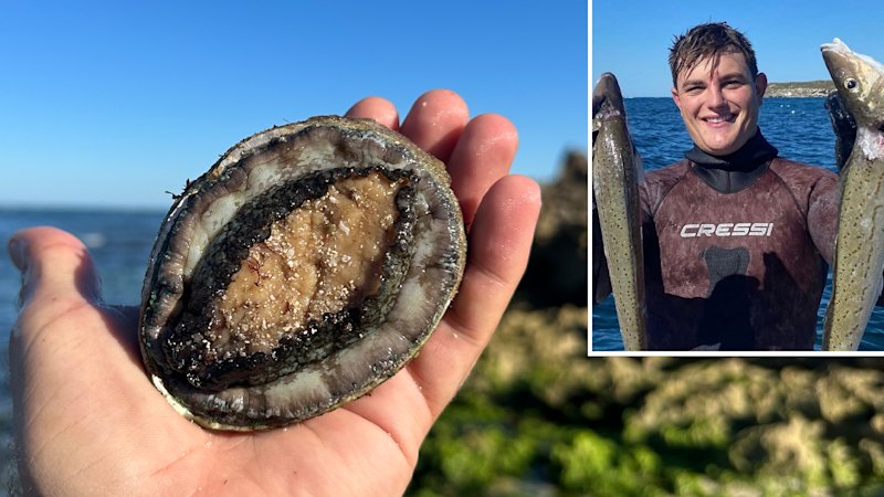 In a race against time, fishers brave early starts and hazardous waters for this prized snail