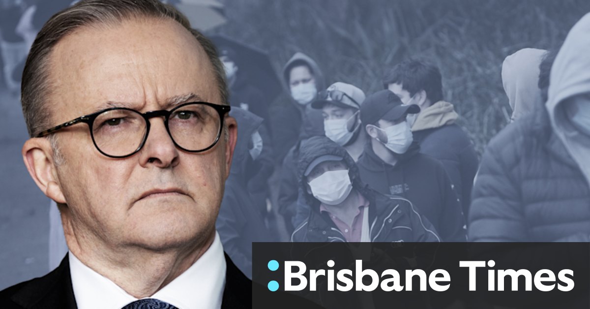 Prime Minister Anthony Albanese faces demand for COVID-19 pandemic inquiry - Vimarsana News