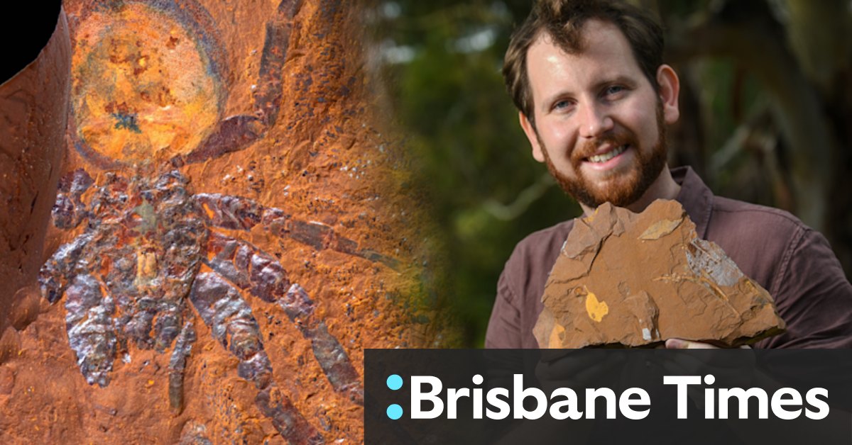 Gulgong farmer's fantastic fossil find uncovers unknown ancient species - Vimarsana News