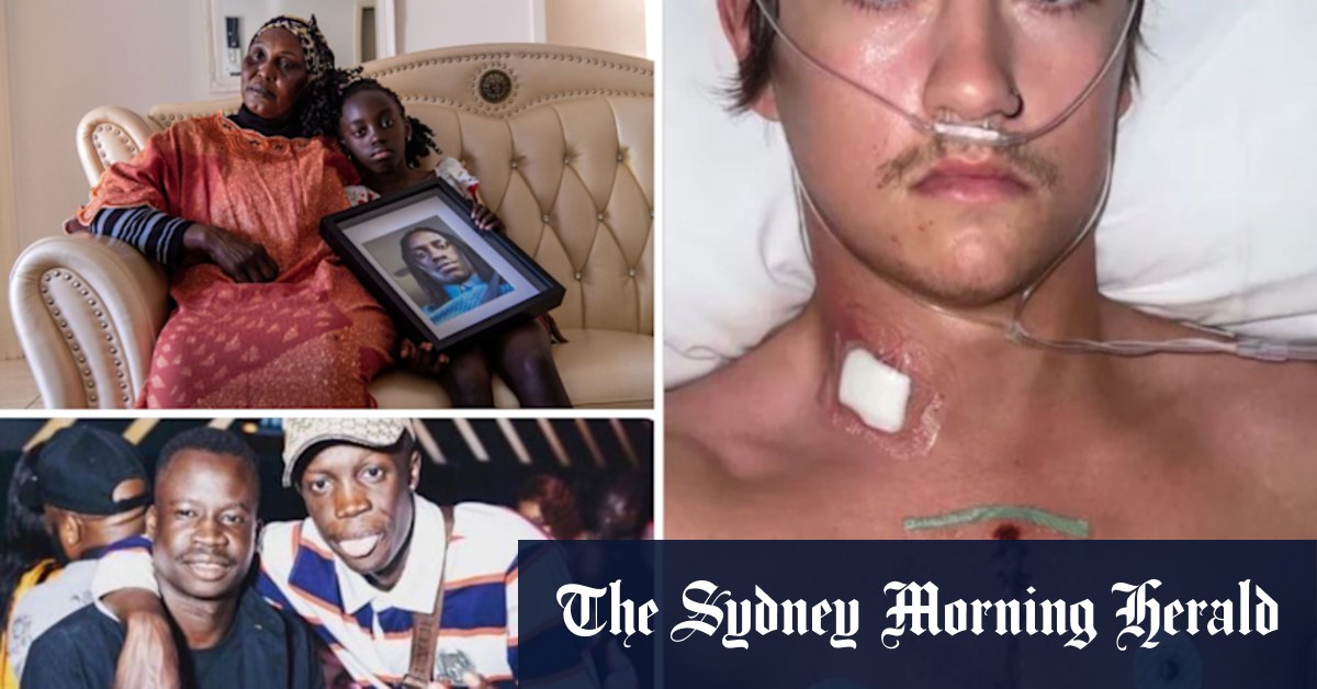 Melbourne knife crime rates reveal true toll of city's youth violence epidemic - Vimarsana News