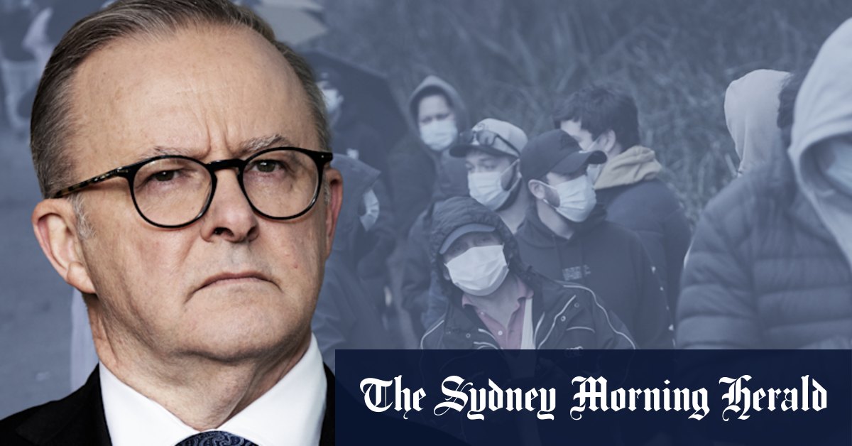 Prime Minister Anthony Albanese faces demand for COVID-19 pandemic inquiry - Vimarsana News