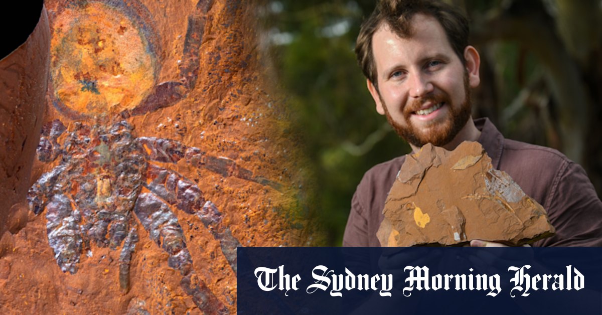 Gulgong farmer's fantastic fossil find uncovers unknown ancient species - Vimarsana News