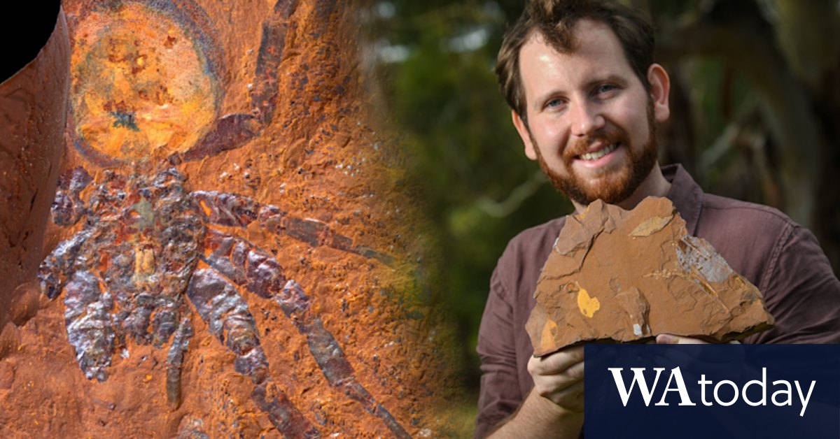 Gulgong farmer's fantastic fossil find uncovers unknown ancient species - Vimarsana News