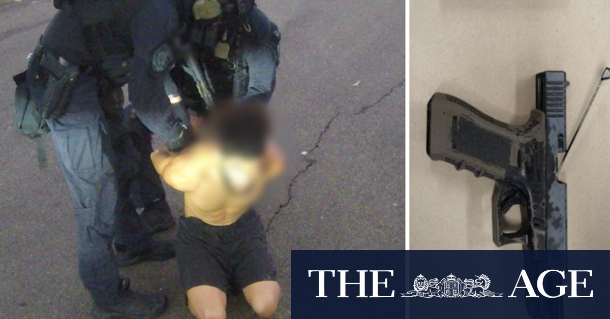 NSW Police foil alleged murder plot against Sydney underworld figure - Vimarsana News