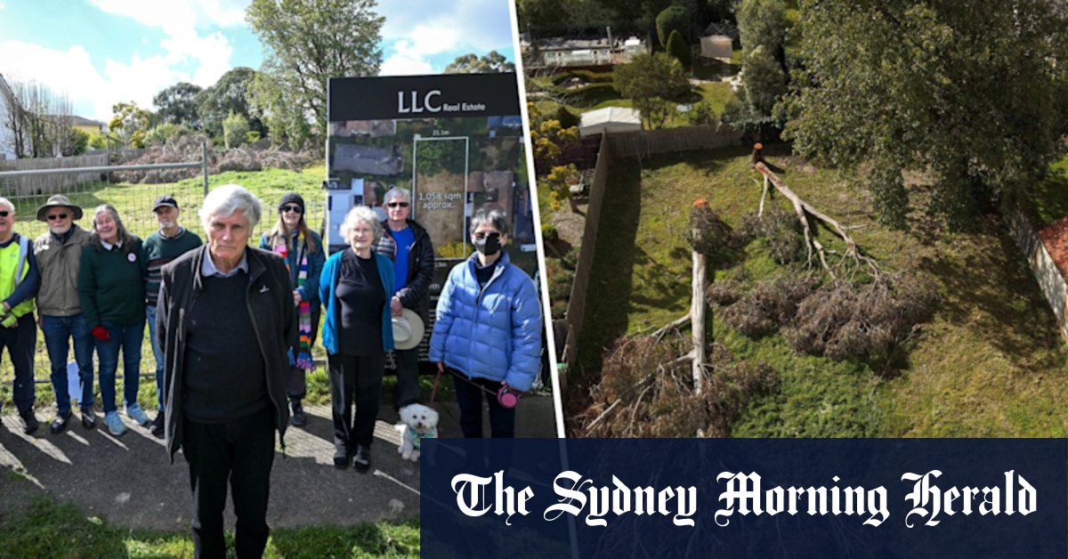 Balwyn North illegal tree removal at night - Vimarsana News