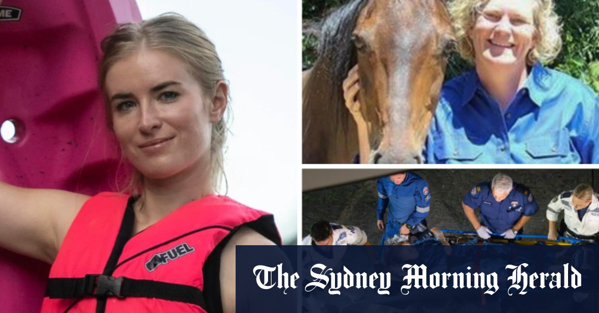 Elizabeth Bay shark attack: Meet Sydney’s eastern suburbs vet who saved