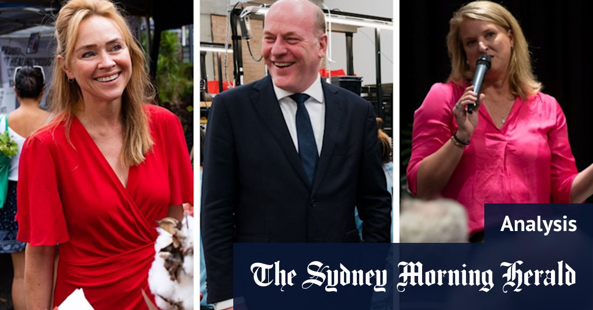 North Sydney federal election: 'diabolical' event throws safe Liberal seat into doubt - Vimarsana News
