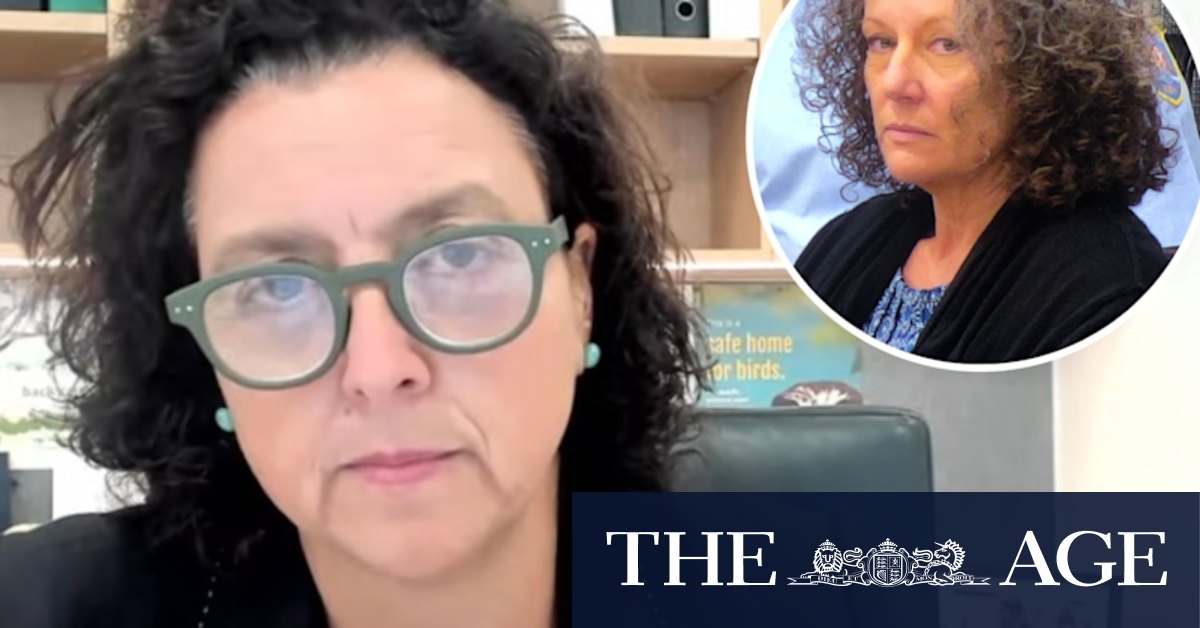 Kathleen Folbigg's son likely died of natural causes, Monique Ryan tells inquiry - Vimarsana News