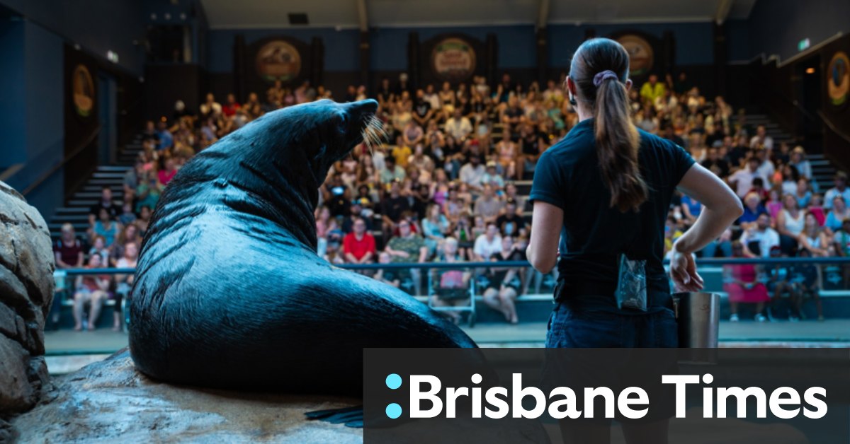 The best zoos in southeast Qld