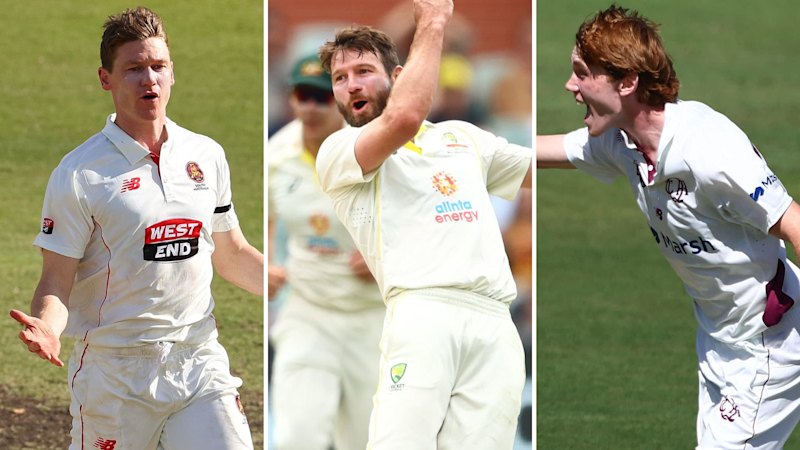 Australia’s spearheads fell, but an Ashes cult hero rubbishes transition fears