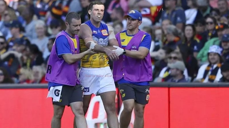 Star Eagle pops shoulder as Rachele inspires Crows