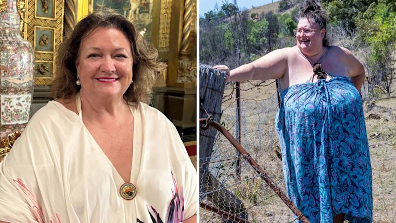 Case dismissed: Fence dispute between a disability pensioner and Gina Rinehart moves behind doors