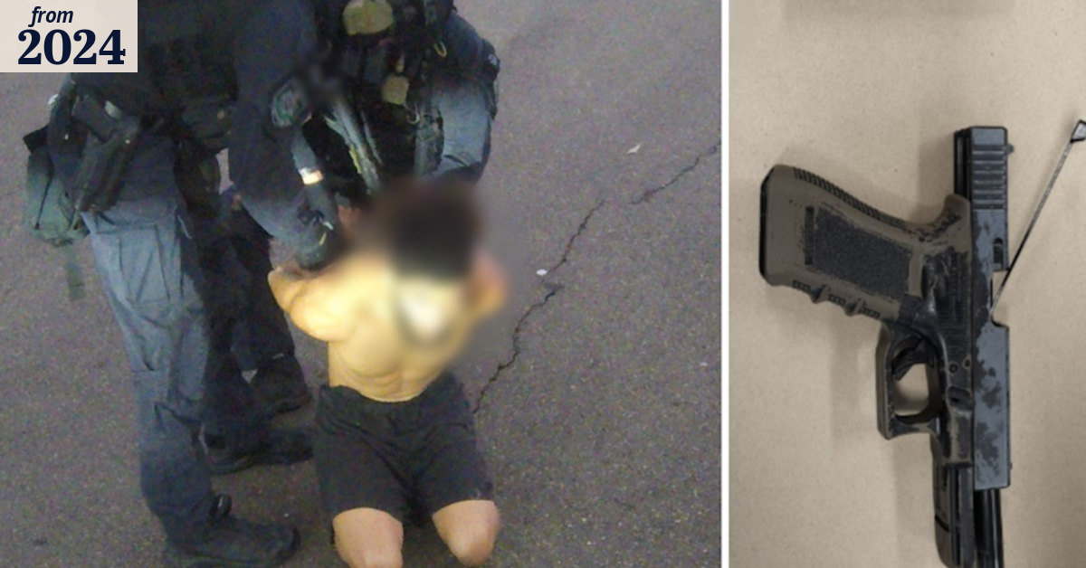 NSW Police foil alleged murder plot against Sydney underworld figure