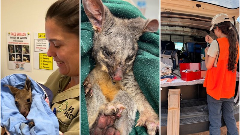 What The ‘hidden’ workers at the front line of WA’s bushfire response reveals about the current landscape