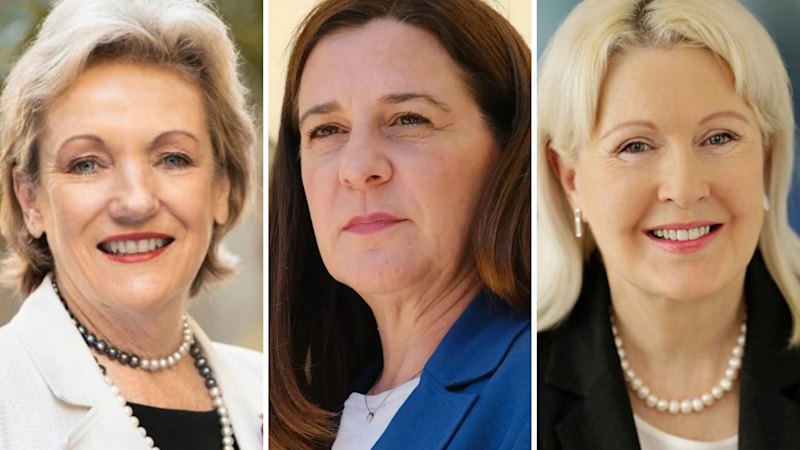 Former LNP MPs tapped for roles on legal sector disciplinary tribunal