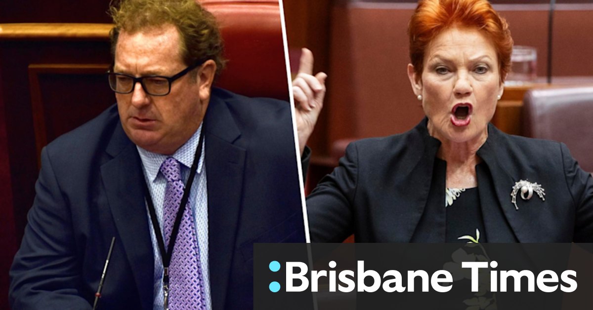 Pauline Hanson's One Nation: Independent MP Ben Dawkins to run for One Nation in 2025 WA election - Vimarsana News