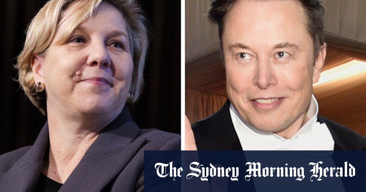 Elon Musk: Who is Tesla chair Robyn Denholm? - Vimarsana News