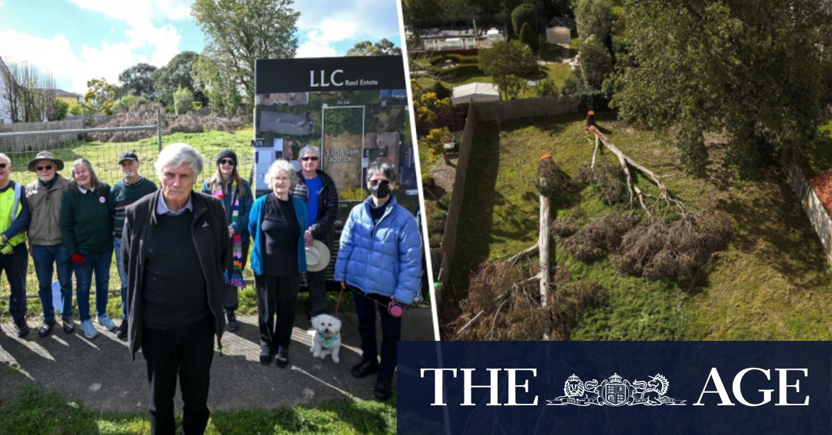 Why trees in this east Melbourne suburb are disappearing at night