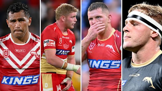 Dolphins return composite