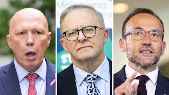 Anthony Albanese’s success over Peter Dutton and Adam Bandt has been well received by corporate Australia. 
