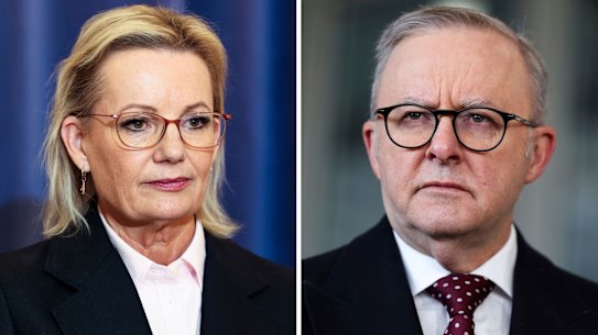 Sussan Ley and Anthony Albanese.