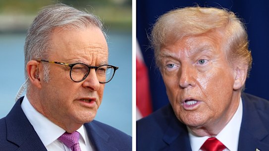 Anthony Albanese and Donald Trump will meet on Monday at the White House.