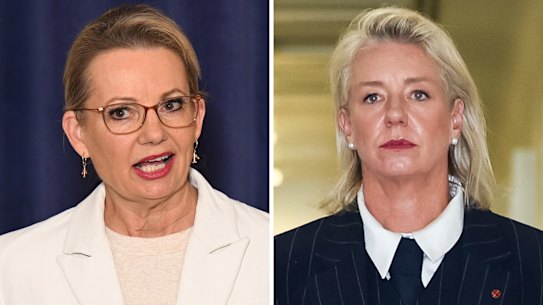 Liberal Party leader Sussan Ley and Nationals Senate leader Bridget McKenzie.