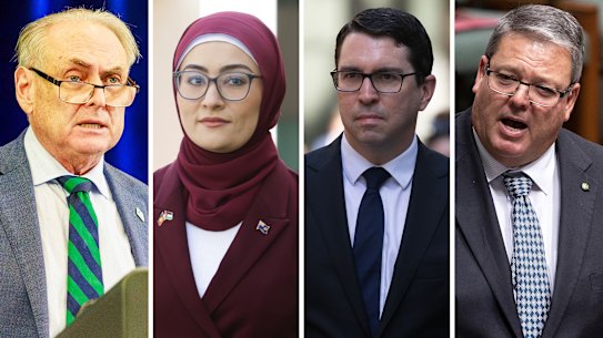 Don Farrell, Fatima Payman, Patrick Gorman and Andrew Willcox have spent more than $100,000 on family travel since the start of the Albanese government in 2022.