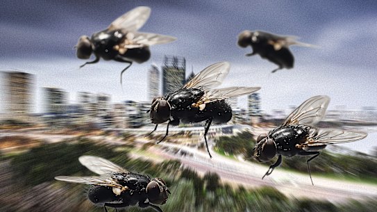 Perth scammers: Fake family businesses target locals with cleaning and ...