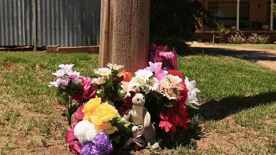 The search has widened for accused triple murderer Julian Ingram in NSW town Lake Cargelligo..