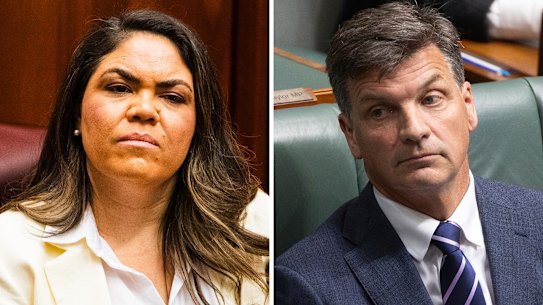 Frustrations: Jacinta Nampijinpa Price and Angus Taylor.