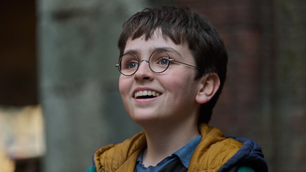 Dominic McLaughlin as Harry Potter in the Harry Potter TV series.