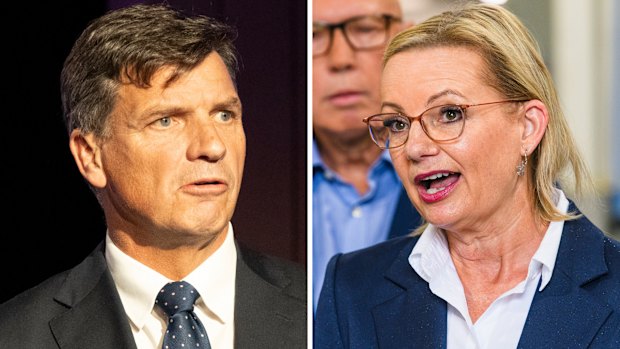 Liberal Party leadership candidates Angus Taylor and Sussan Ley.