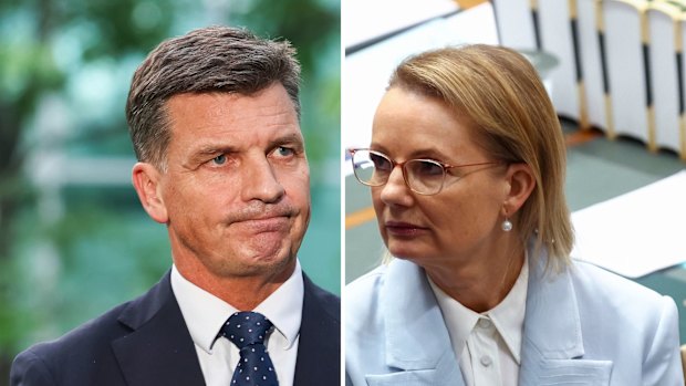 Angus Taylor and Sussan Ley
