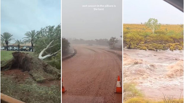 Tropical Cyclone Mitchell