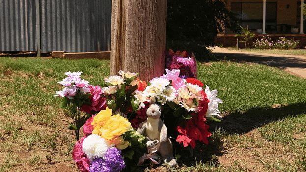 The search has widened for accused triple murderer Julian Ingram in the NSW town of Lake Cargelligo.