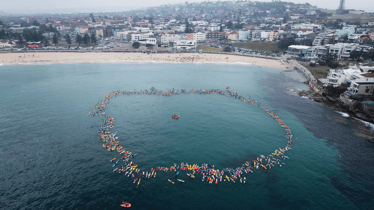 North Bondi paddle out for 12-year-old shark victim Nico Antic