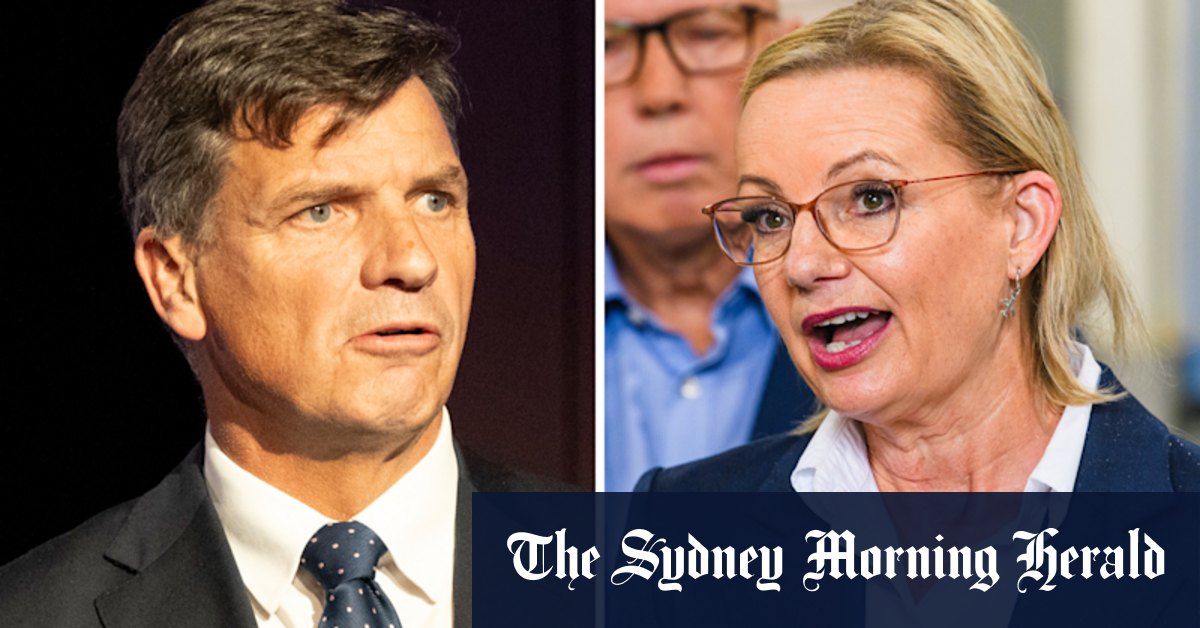 Taylor undercuts Ley on gender quotas, saying they ‘subvert democracy’