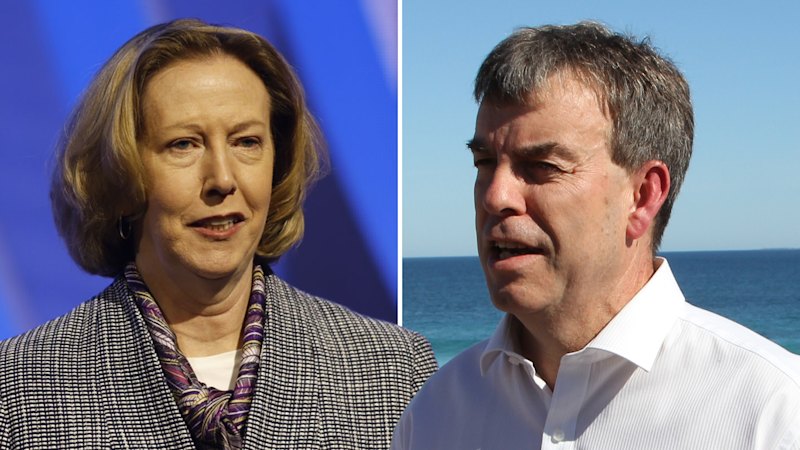 Former WA Labor minister launches blistering attack on Woodside boss