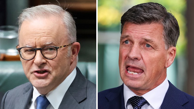 Labor and Coalition move to shield AI policy from One Nation backlash