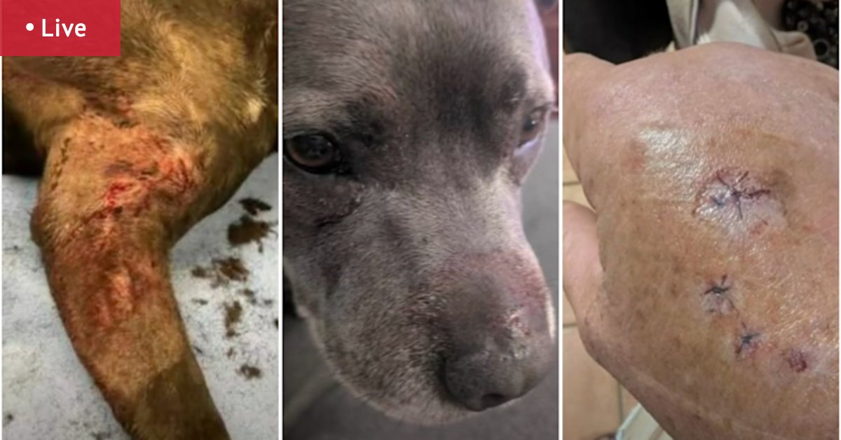 WA news LIVE: City investigates allegations of dog attack at Quinns Rock park; Meadow Springs home raided by police