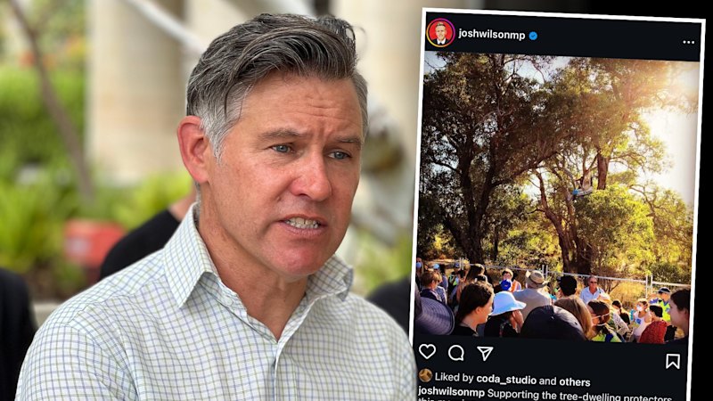 WA MP’s Roe 8 protest pictures ‘would be caught up by post and boast laws’