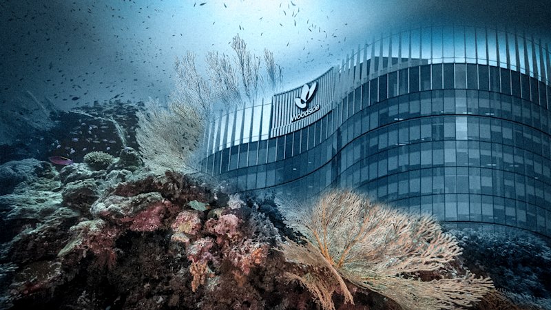 Woodside’s $30b gas project poses threat of ‘irreversible damage’, EPA warned