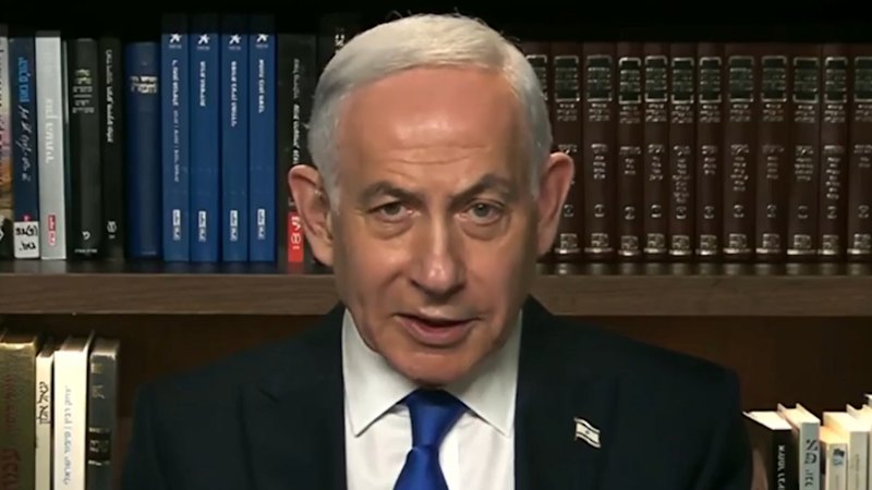 ‘Islamist radical’: Israel claims horror flight co-pilot shared hate online