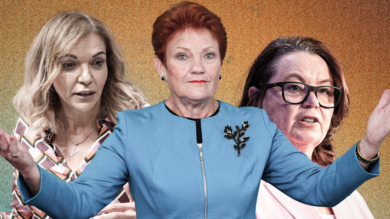Perth MPs in One Nation’s sights hit back as Hanson show lea